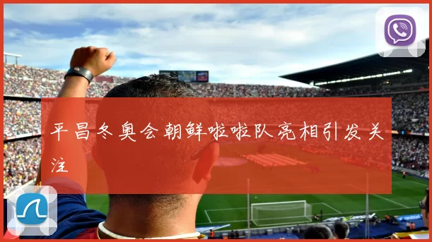 平昌冬奥会朝鲜啦啦队亮相引发关注